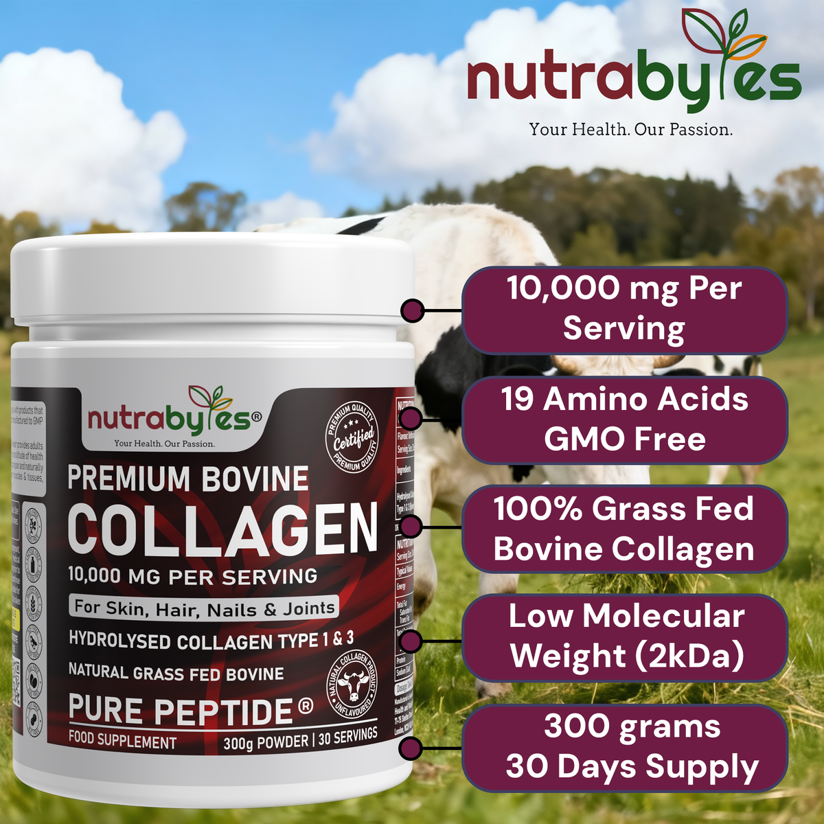 Premium Bovine Collagen Supplement Powder, 10,000 mg Pure Hydrolysed Collagen Peptides, Blended with 19 Amino Acids, Unflavoured Collagen Protein Powder Types 1 and 3, Halal & Kosher