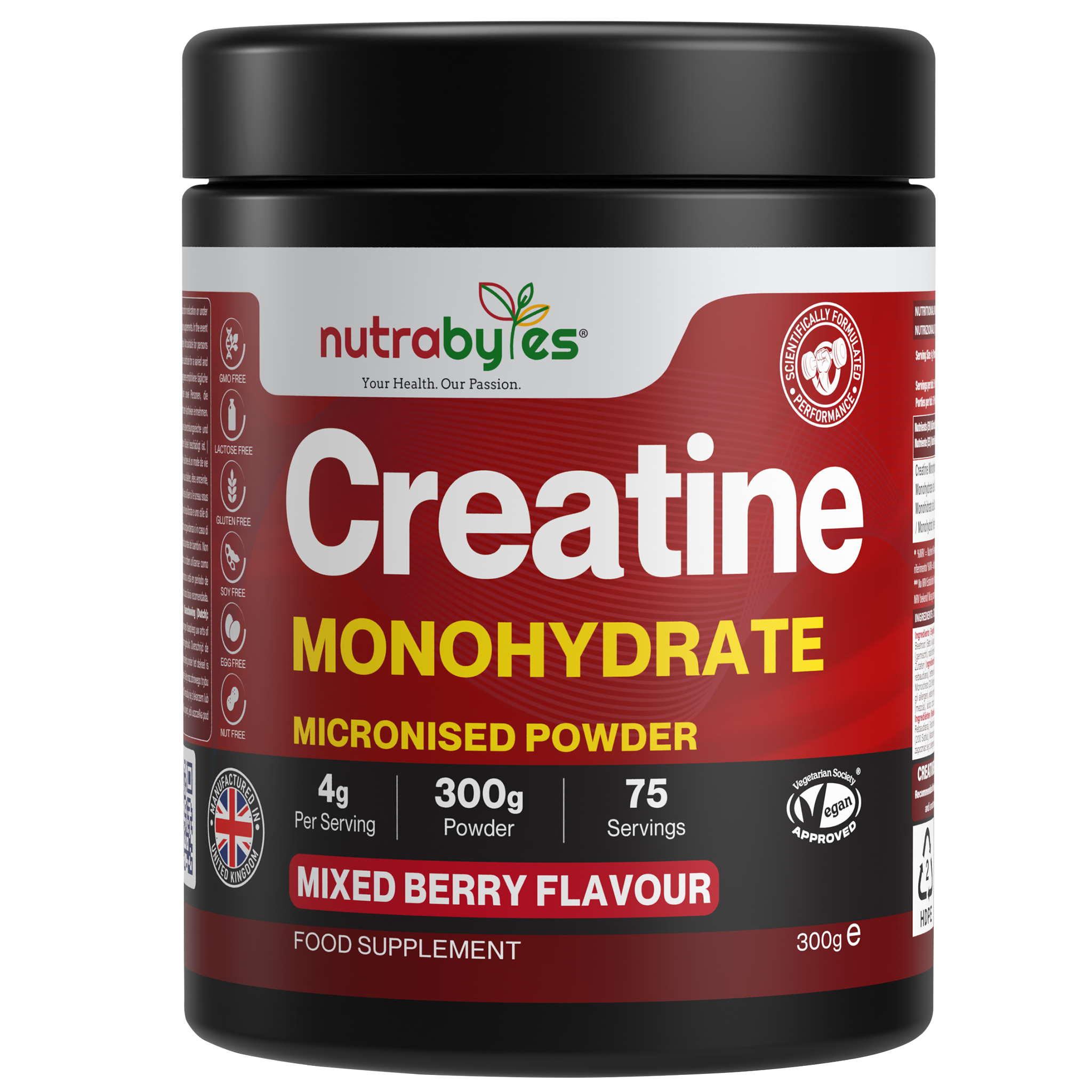 Flavoured Creatine Monohydrate Powder 300g (75 Servings) – Micronised Creatine Powder | Supplement for Women & Men | Vegan Certified