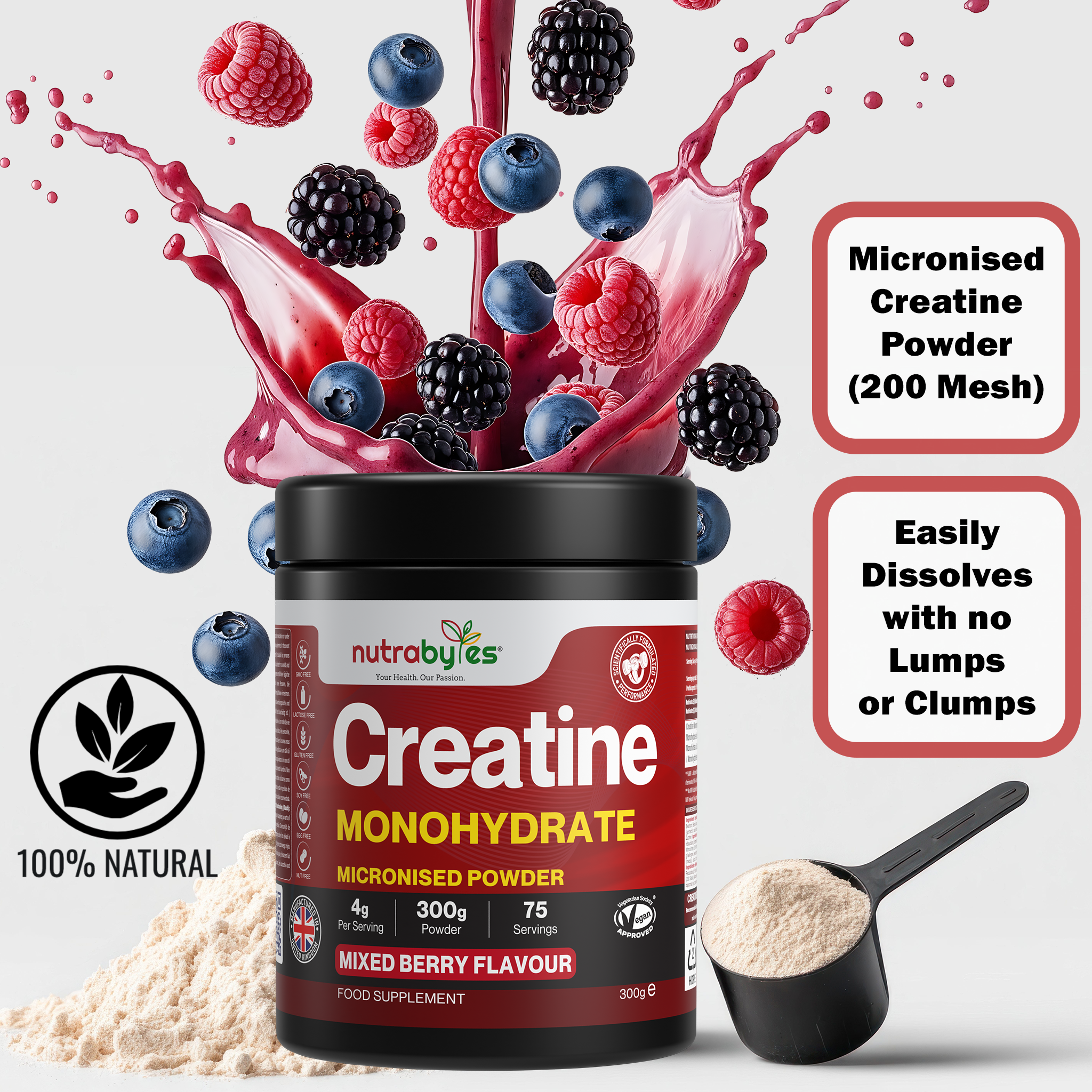 Flavoured Creatine Monohydrate Powder 300g (75 Servings) – Micronised Creatine Powder | Supplement for Women & Men | Vegan Certified