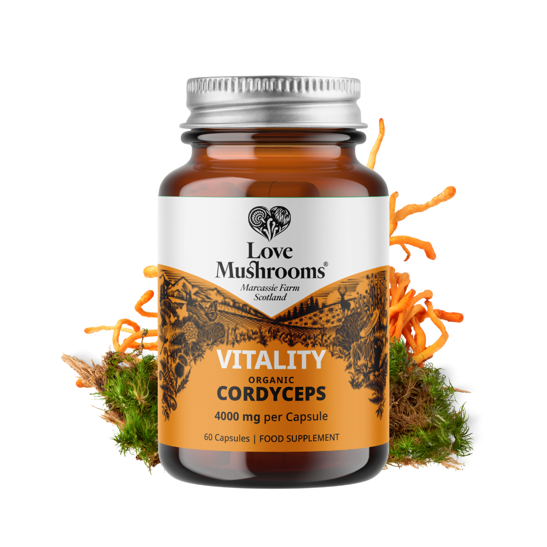 Cordyceps Capsules (60) – 4000mg per Capsule
