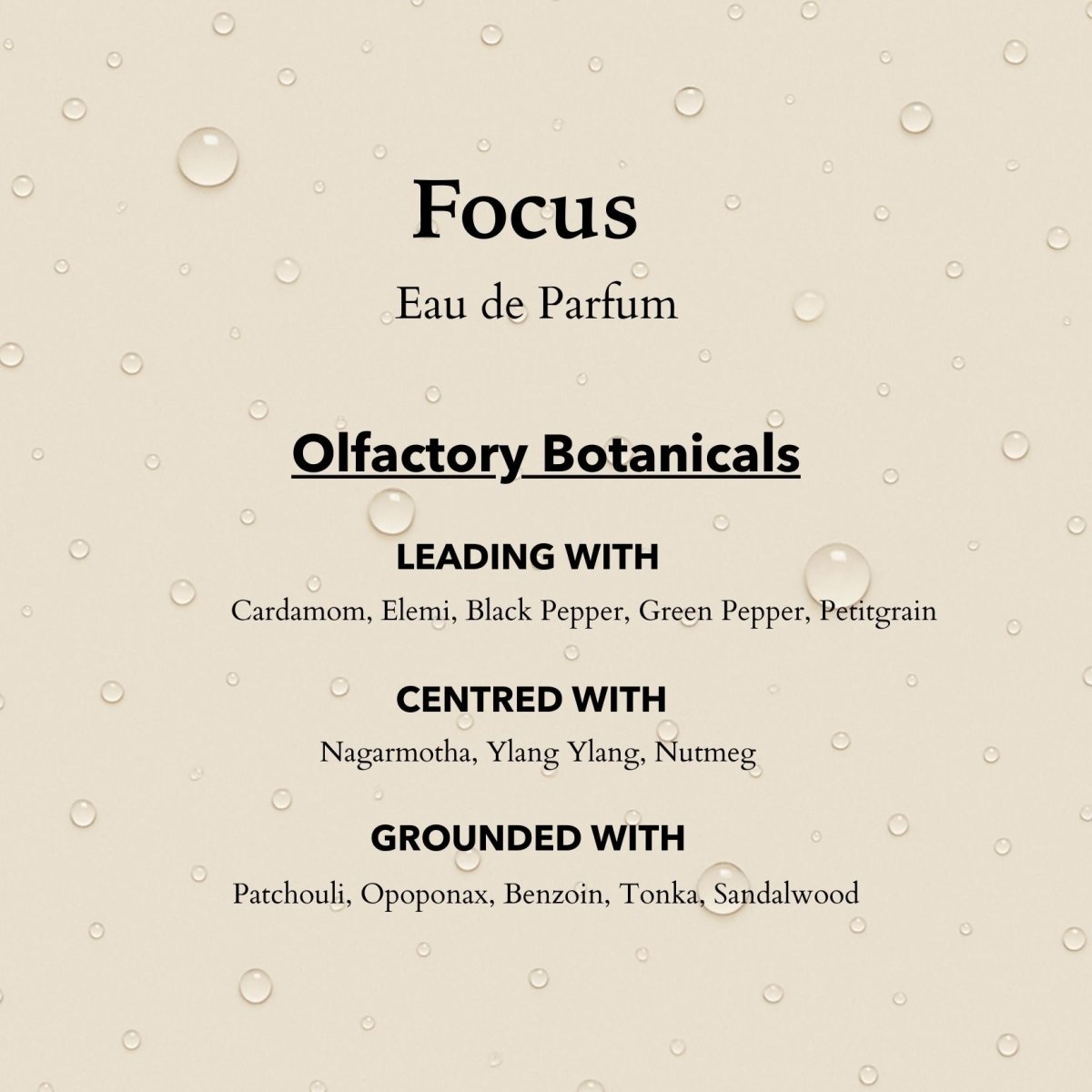 Focus Eau de Parfum | Travel 10ml