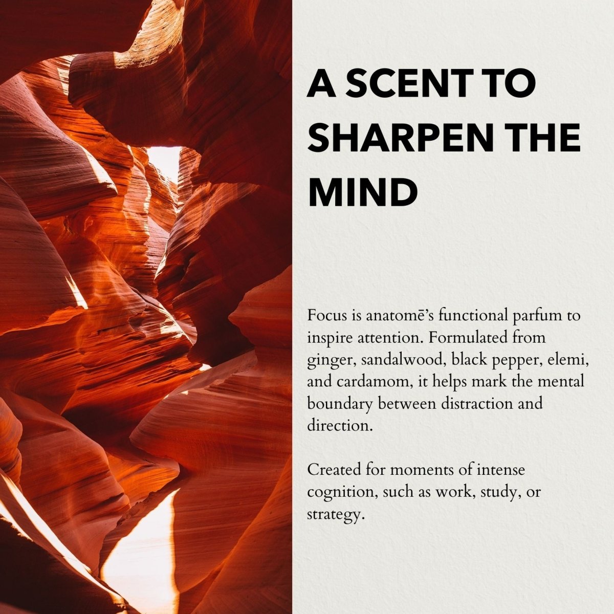 Focus Eau de Parfum | Travel 10ml