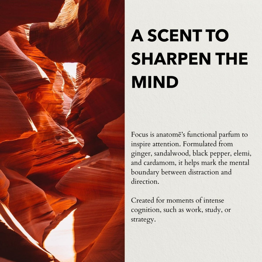 Focus Eau de Parfum | Sharpen Focus & Awaken the Senses 100ml