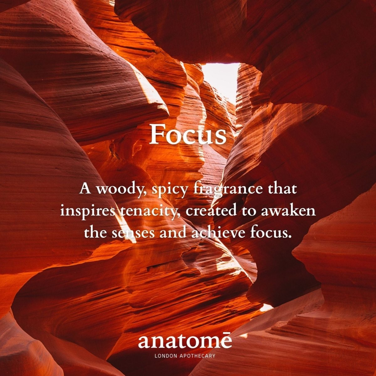 Focus Eau de Parfum | Travel 10ml
