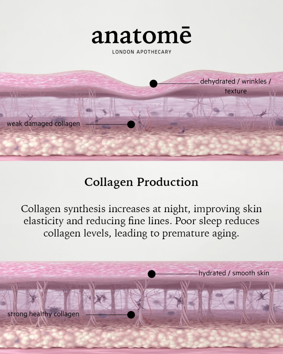 Illuminating Rose-hip, Grape Seed & Avocado Face Oil