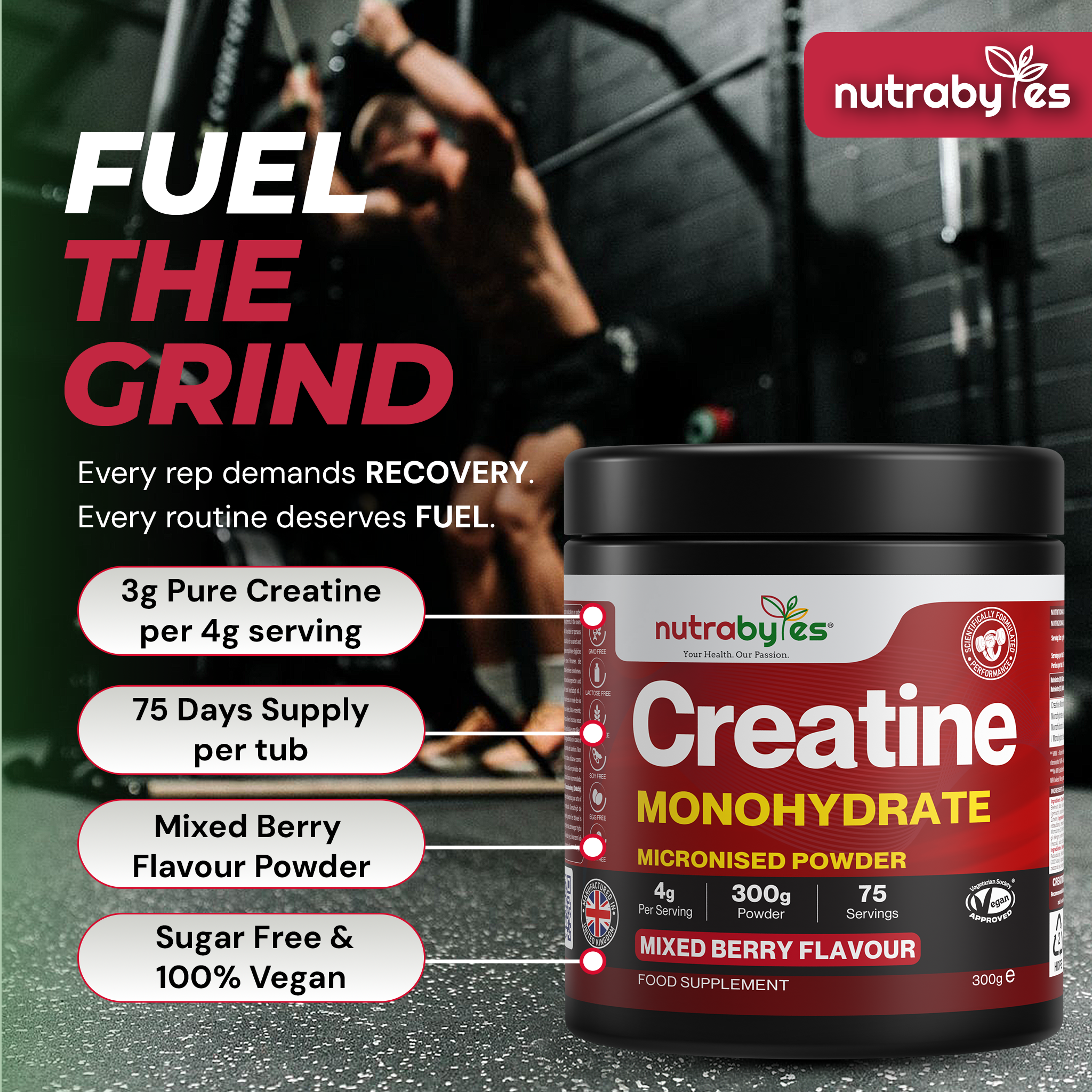 Flavoured Creatine Monohydrate Powder 300g (75 Servings) – Micronised Creatine Powder | Supplement for Women & Men | Vegan Certified