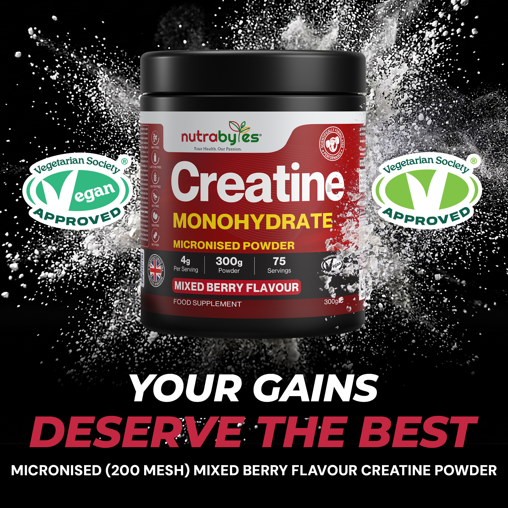 Flavoured Creatine Monohydrate Powder 300g (75 Servings) – Micronised Creatine Powder | Supplement for Women & Men | Vegan Certified