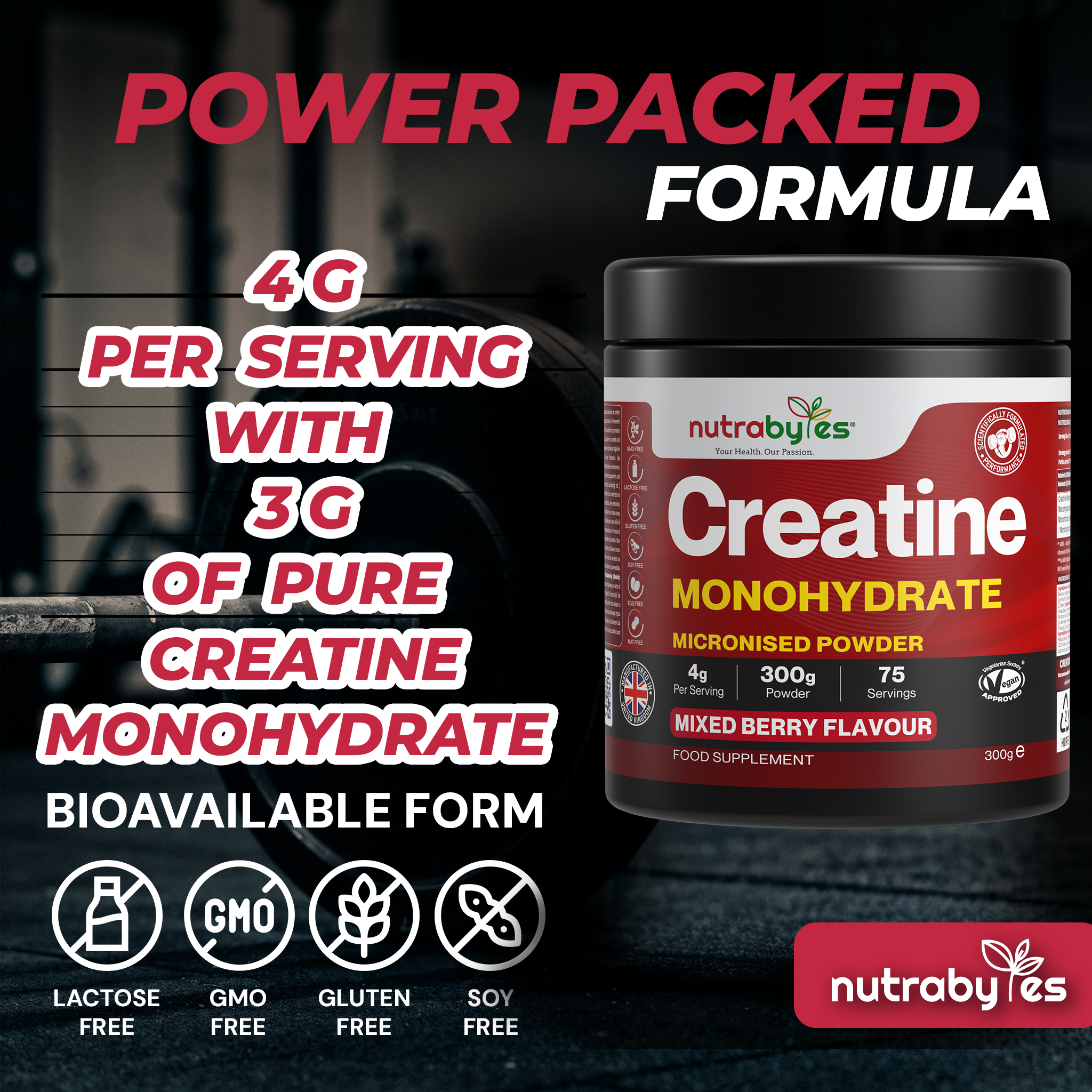 Flavoured Creatine Monohydrate Powder 300g (75 Servings) – Micronised Creatine Powder | Supplement for Women & Men | Vegan Certified