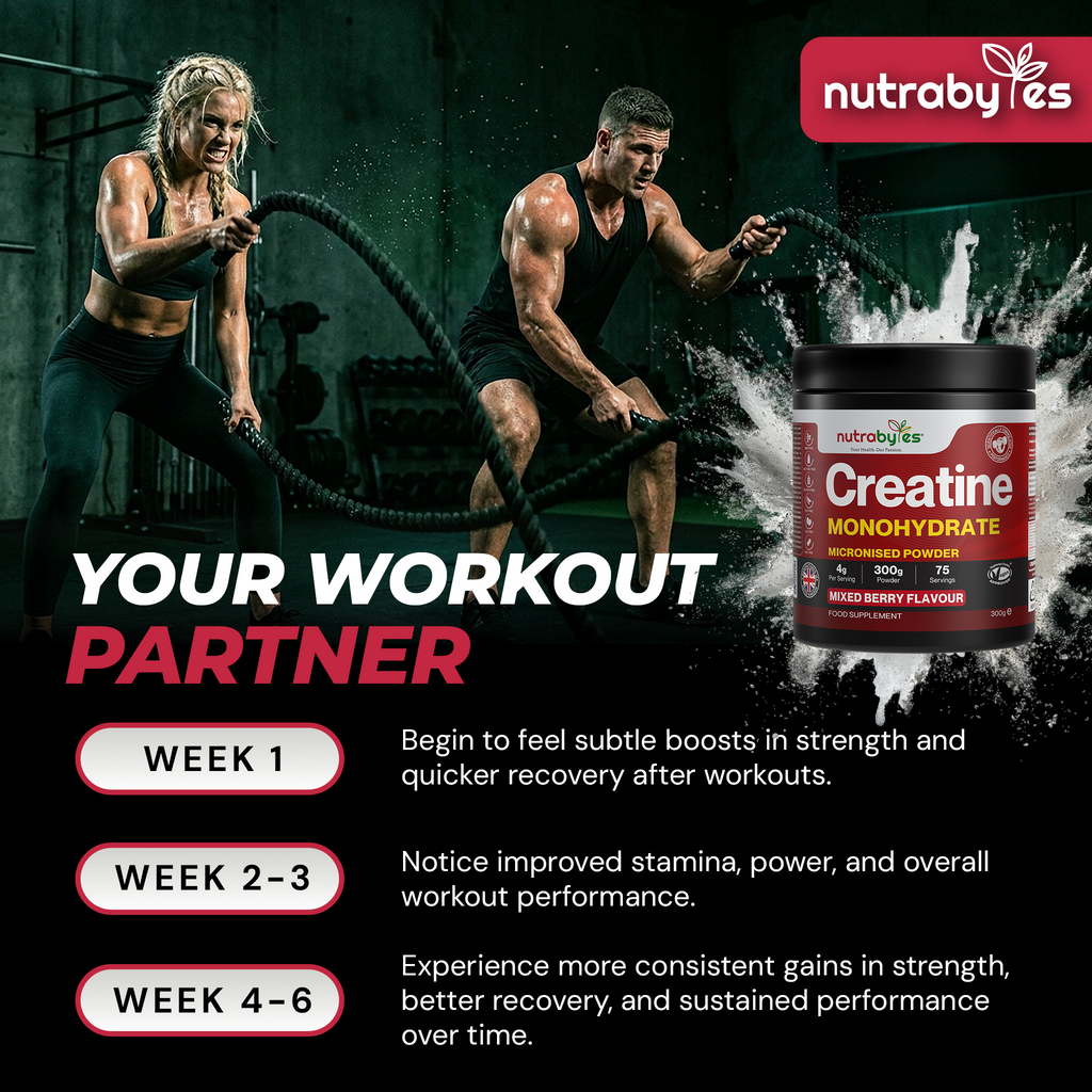 Flavoured Creatine Monohydrate Powder 300g (75 Servings) – Micronised Creatine Powder | Supplement for Women & Men | Vegan Certified