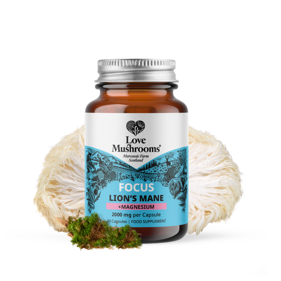 FOCUS – Lion’s Mane + Magnesium (30 Capsules)
