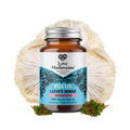 FOCUS – Lion’s Mane + Magnesium (60 Capsules)