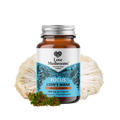FOCUS – Lion’s Mane + Multivitamin (30 Capsules)