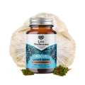 FOCUS – Lion’s Mane + Multivitamin (60 Capsules)