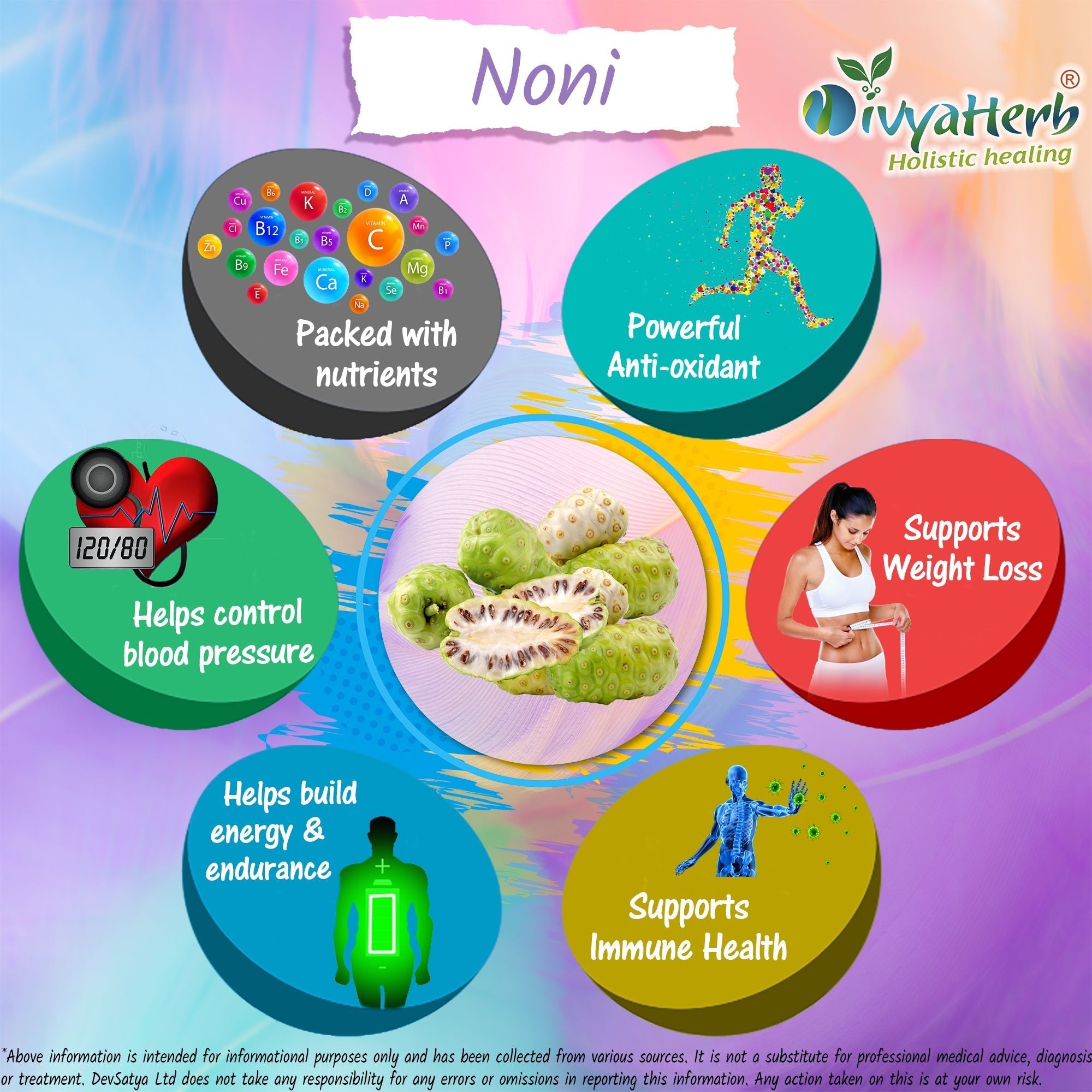 DivyaHerb Noni Powder 100 gram - Daily Wellness Support