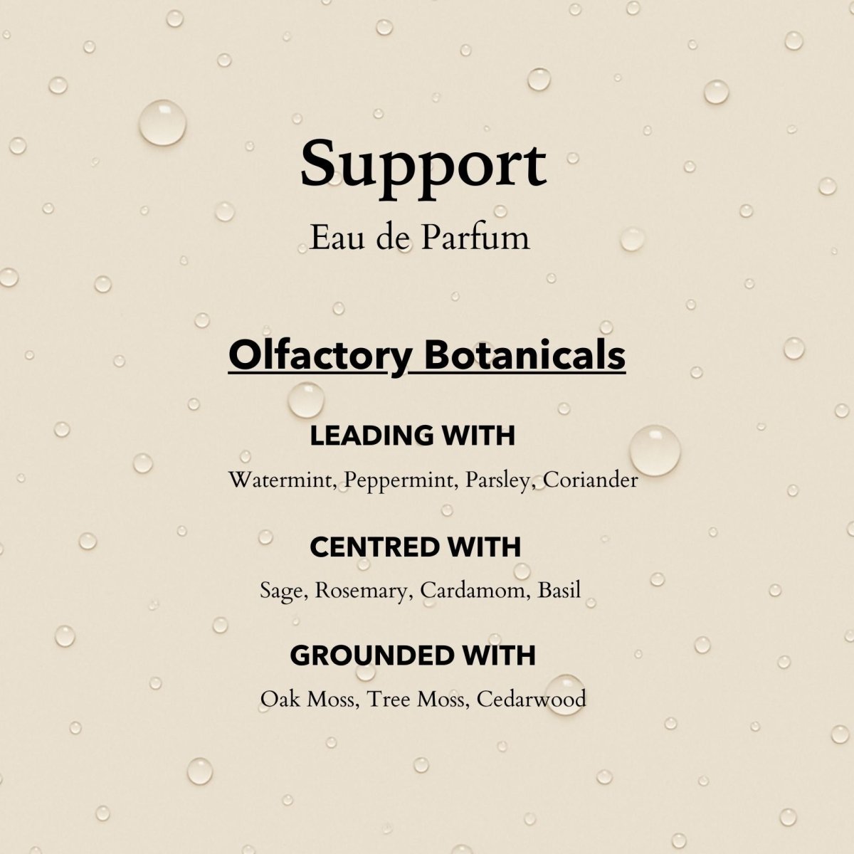 Support Eau de Parfum | Protective, herbaceous & restorative
