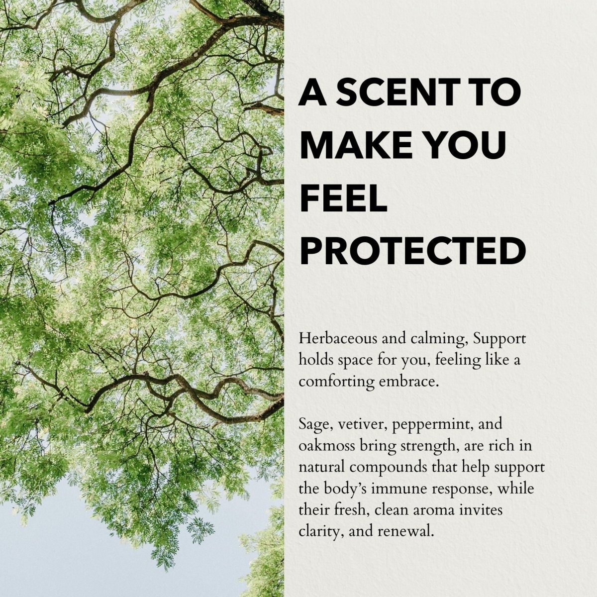 Support Eau de Parfum | Protective, herbaceous & restorative