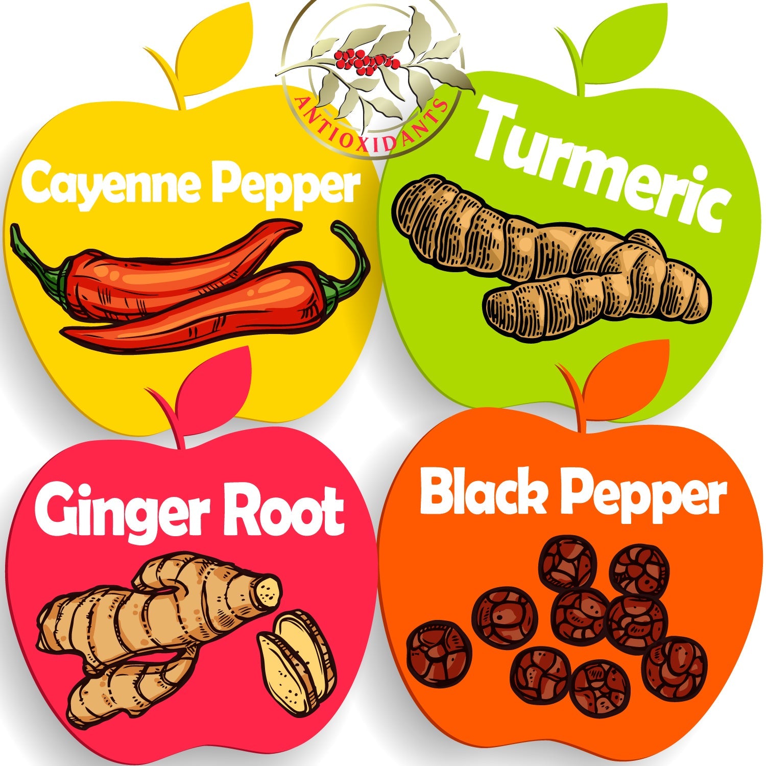 Apple Cider Vinegar with the Mother, Superfood, Biocultures & Berries Complex