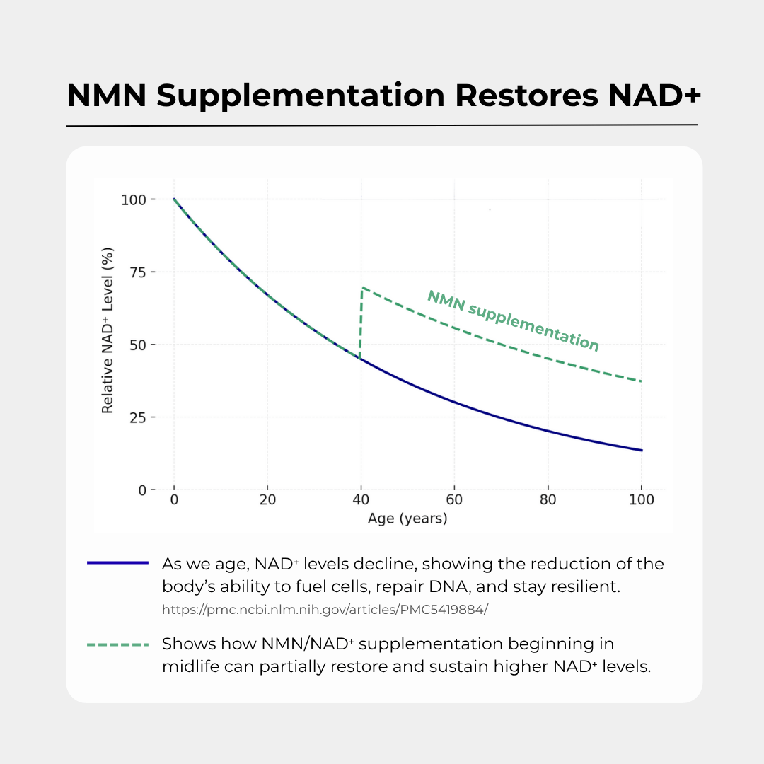 NMN Powder