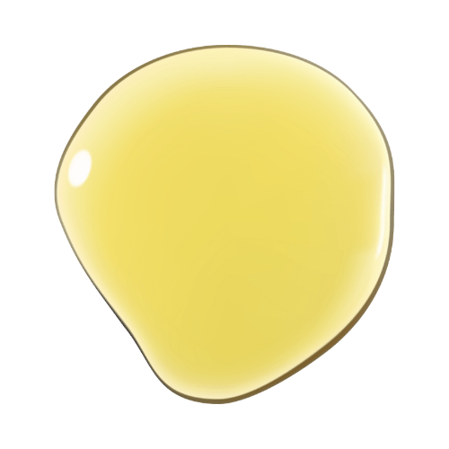 Tonic Scalp Oil | Baobab Seed