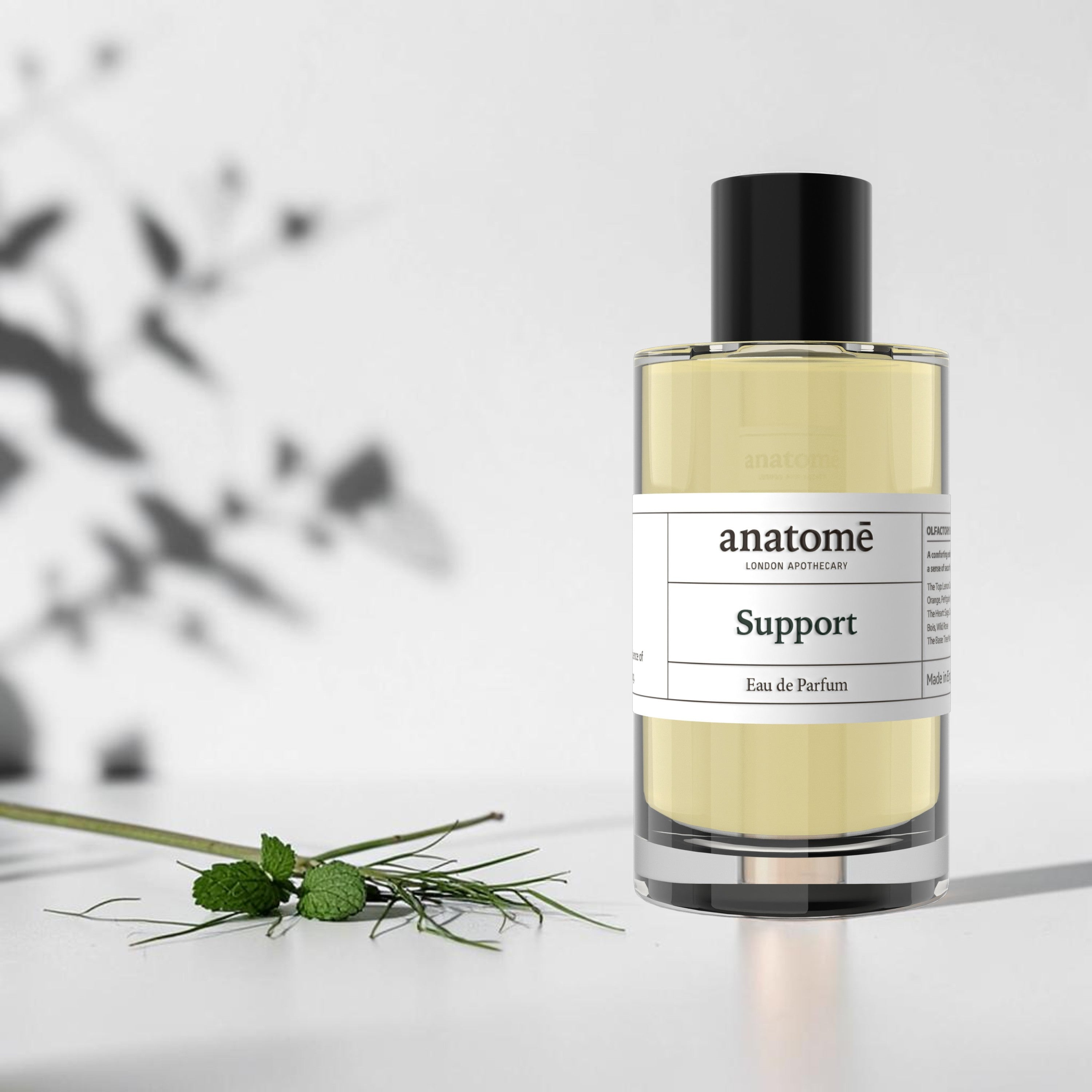 Support Eau de Parfum | Protective, herbaceous & restorative